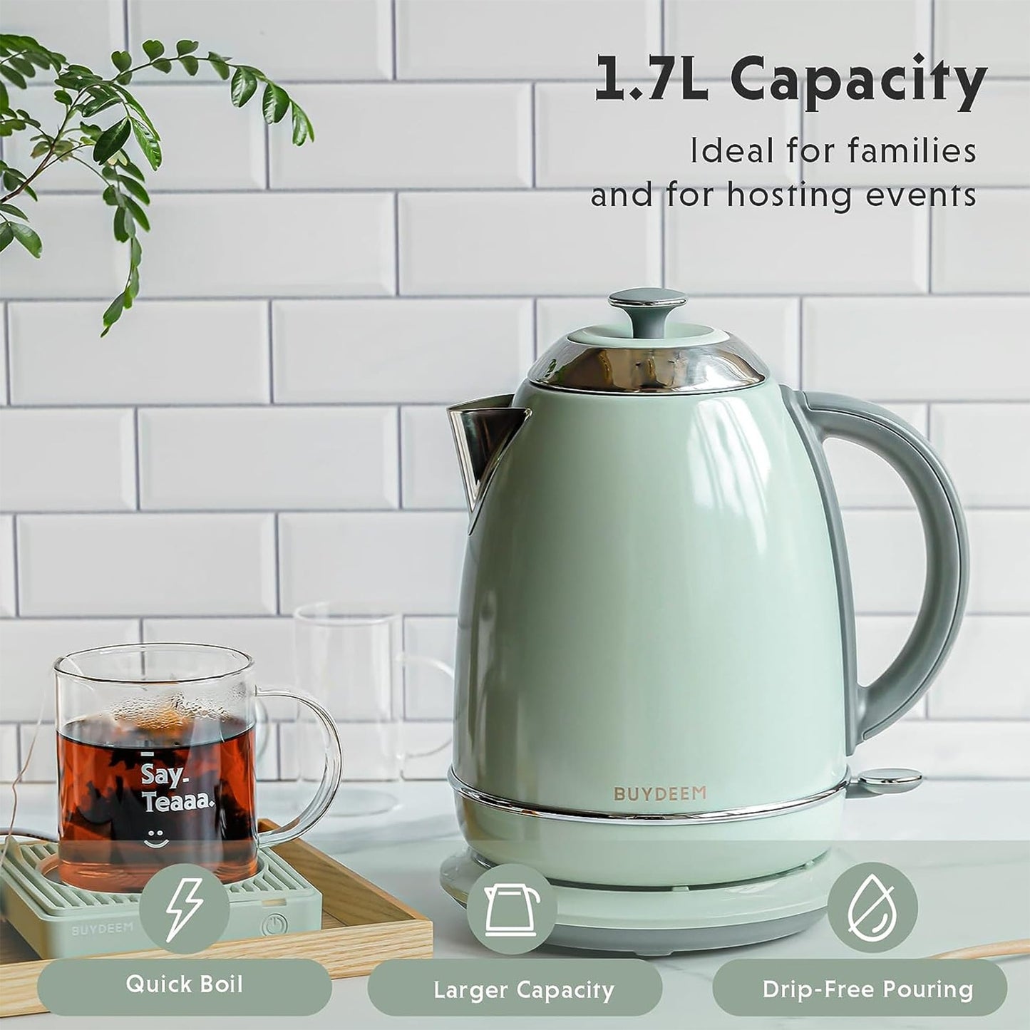 BUYDEEM 1.7L Stainless Steel Electric Tea Kettle with Auto Shut-Off and Boil Dry Protection