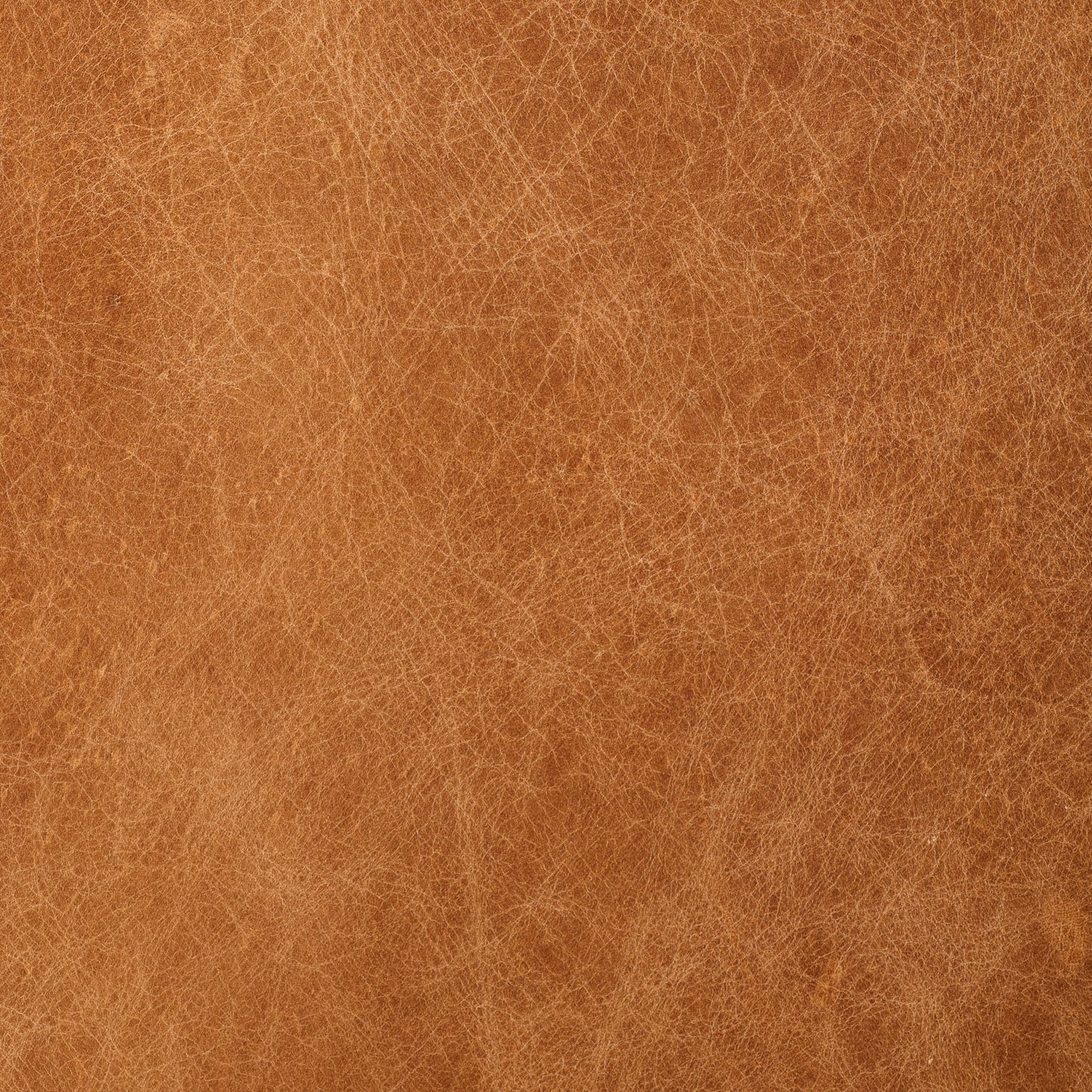 Poly & Bark Canale Sofa - Full Grain Genuine Italian Leather