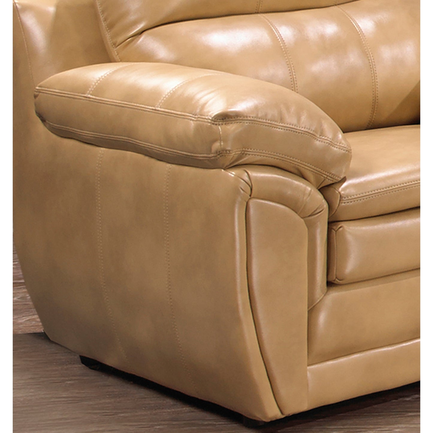 Simon Leather Gel Upholstered Sofa