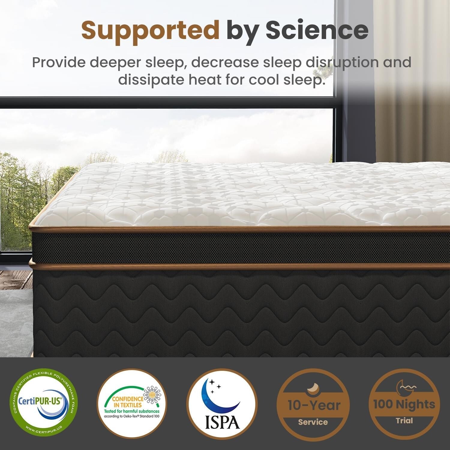 10 Full Plush Mattresses with Encased Coils & Gel Memory Foam,Fiberglass-Free,Motion Isolation-Edge Support,Mattress in a Box
