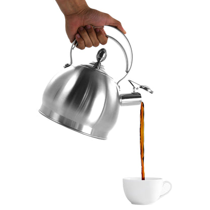 3 Quart Round Brushed Silver Stovetop Whistling Kettle Ergonomic Handle in Silver