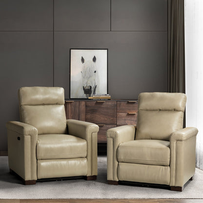 Alicia 34.65 Wide Contemporary Classic Genuine Leather Power Recliner With USB Port (Set of 2)