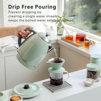 BUYDEEM 1.7L Stainless Steel Electric Tea Kettle with Auto Shut-Off and Boil Dry Protection