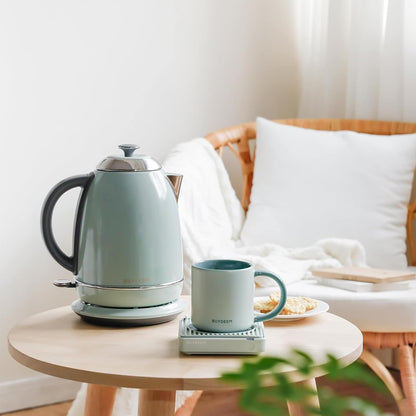BUYDEEM 1.7L Stainless Steel Electric Tea Kettle with Auto Shut-Off and Boil Dry Protection