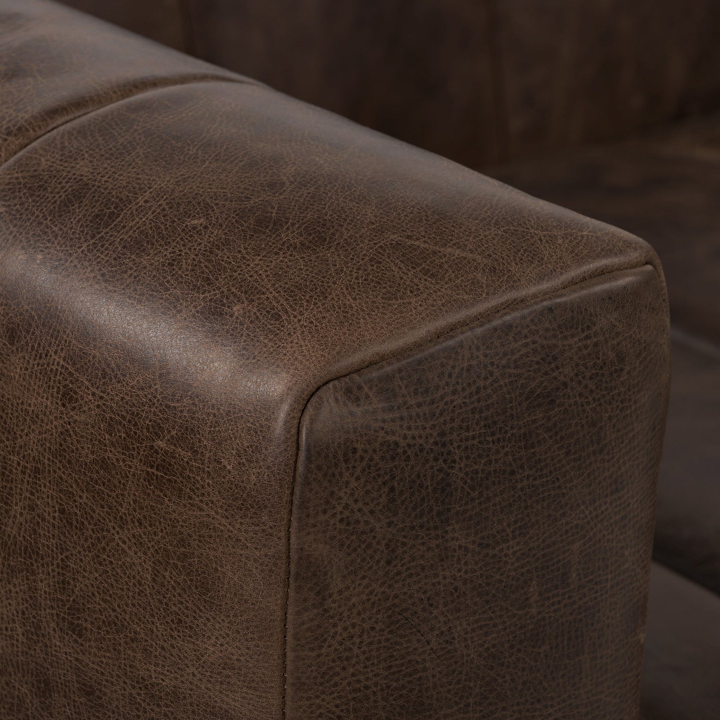 Poly & Bark Canale Sofa - Full Grain Genuine Italian Leather