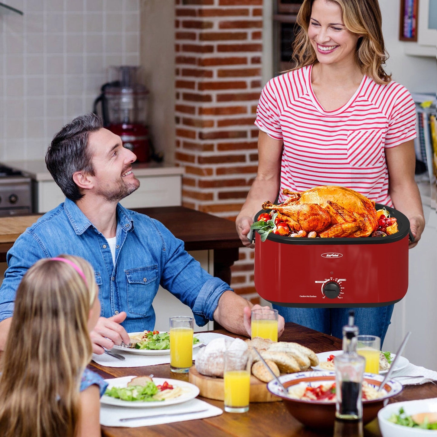 Royalcraft Roaster Oven with Removable Pan