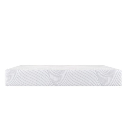 Sealy Conform Essentials 11.5-inch Plush Gel Memory Foam Mattress and Ease Adjustable Bed Set