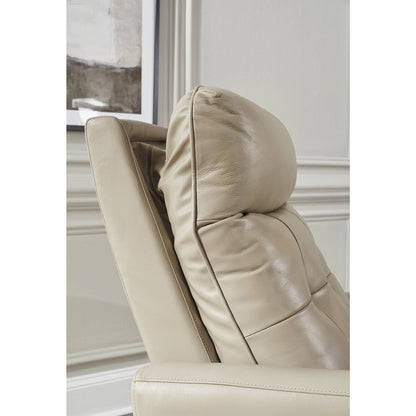 Signature Design by Ashley Pisgham Power Recliner
